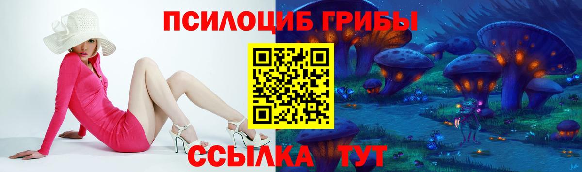 Псилоцибиновые грибы GOLDEN TEACHER Лесной